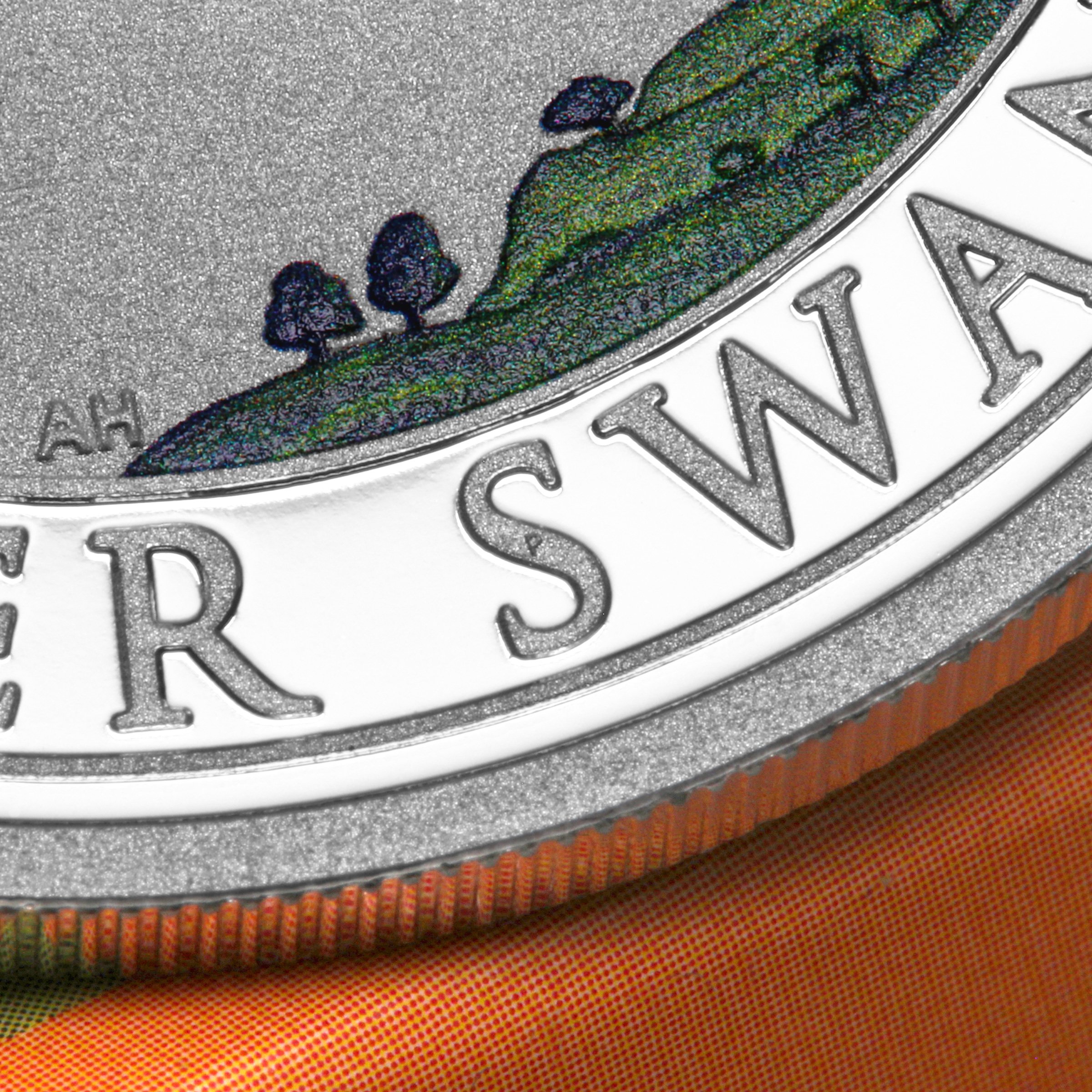 Silbermünze 1oz "Schwan" 2026 (koloriert) Perth Money Expo ANDA Coin Show Special (Australien) - Detailansicht 5