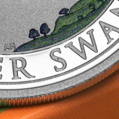 Silbermünze 1oz "Schwan" 2026 (koloriert) Perth Money Expo ANDA Coin Show Special (Australien) - Miniaturansicht 6