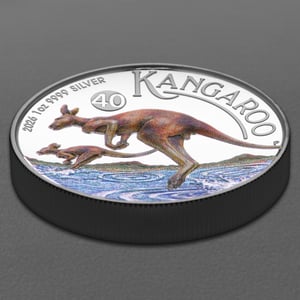 Silbermünze 1oz "Känguru" 2026 (PP/HR/koloriert) (Australien) - Miniaturansicht 3