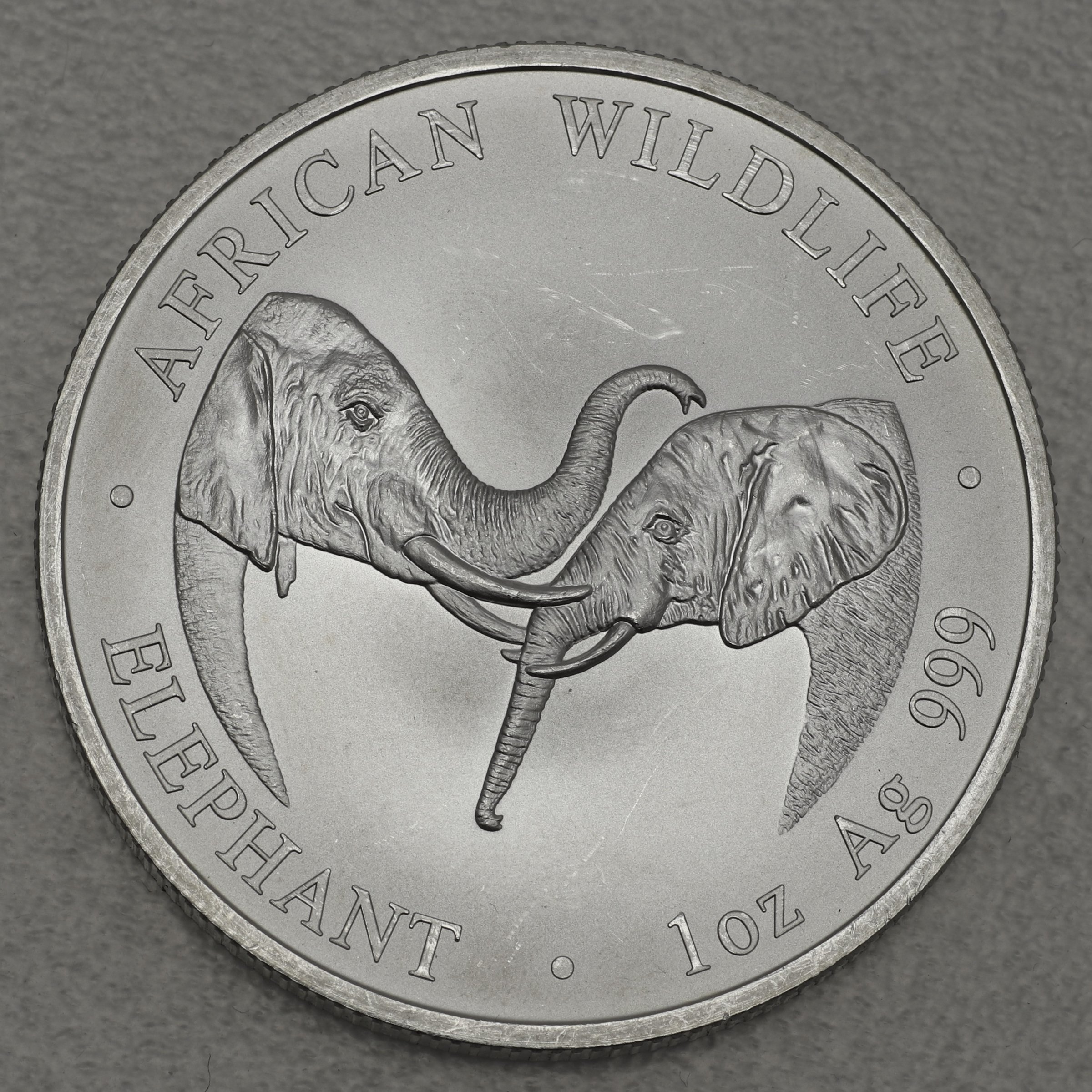 Silbermünze 1oz "Zambia Elefant" 2002 African Wildlife diff. (Sambia) - Hauptansicht