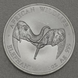 Silbermünze 1oz "Zambia Elefant" 2002 African Wildlife diff. (Sambia) - Hauptansicht