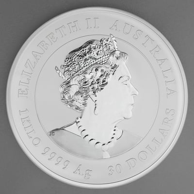 Silbermünze 1kg "Hase" 2023 (koloriert) Gold Privy Mark – Lunar III (Australien) - Miniaturansicht 2