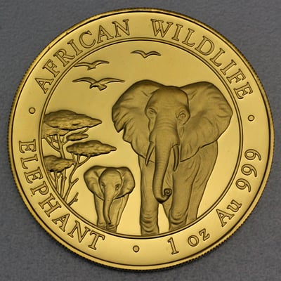 Goldmünze 1oz "Elefant" 2015 African Wildlife (Somalia) - Miniaturansicht 1