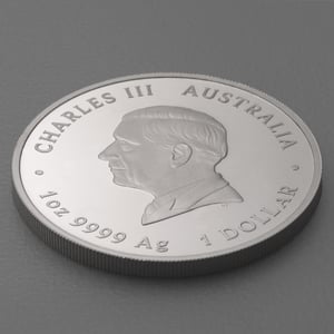 Silbermünze 1oz "One Love" 2024 (PP/koloriert) (Australien) - Miniaturansicht 4