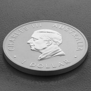 Silbermünze 1oz "Wedge-tailed Eagle" 2025 19% (Australien) - Miniaturansicht 4