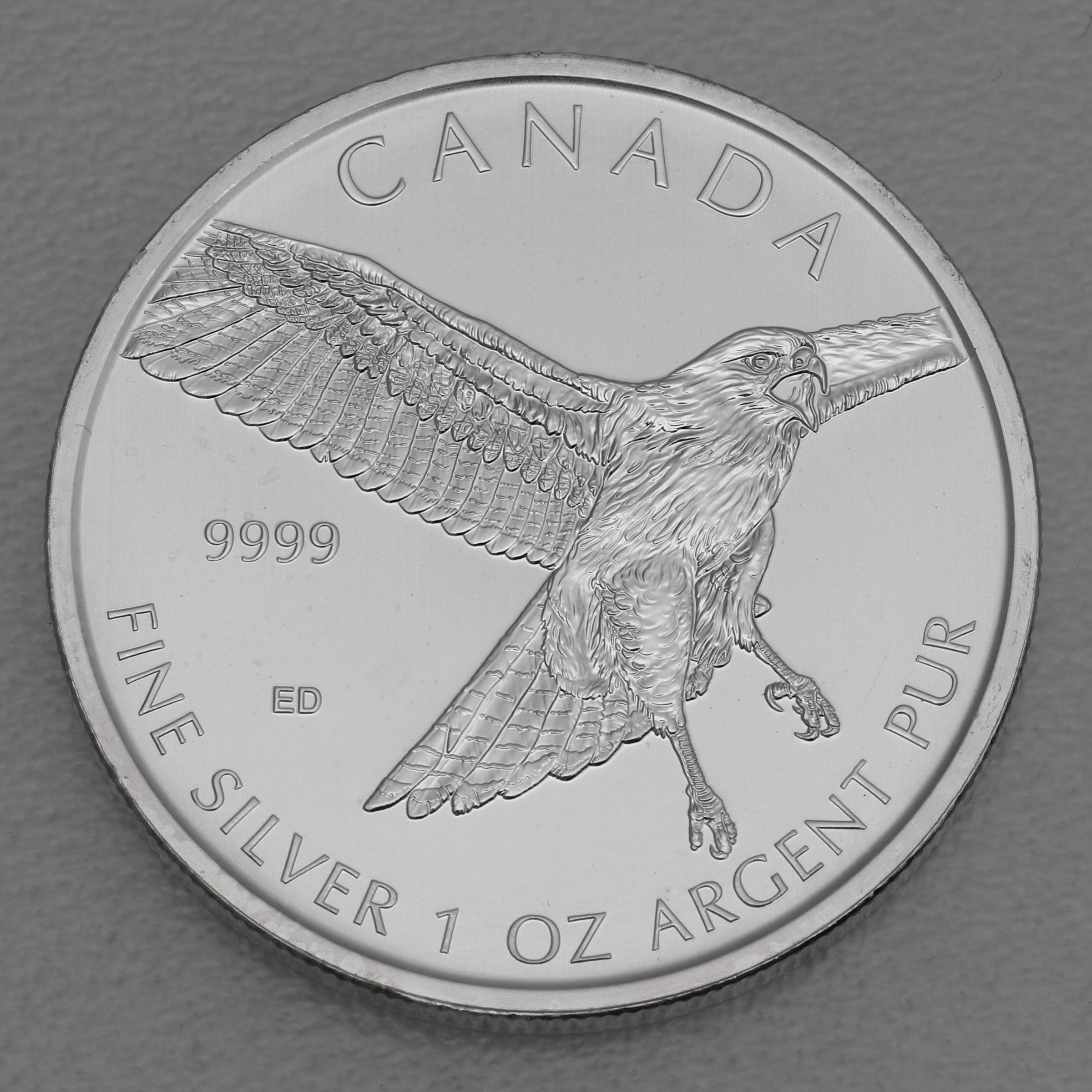 Silbermünze 1oz "Red-tailed Hawk" 2015 Birds of Prey (Kanada) - Hauptansicht