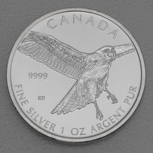 Silbermünze 1oz "Red-tailed Hawk" 2015 Birds of Prey (Kanada) - Hauptansicht