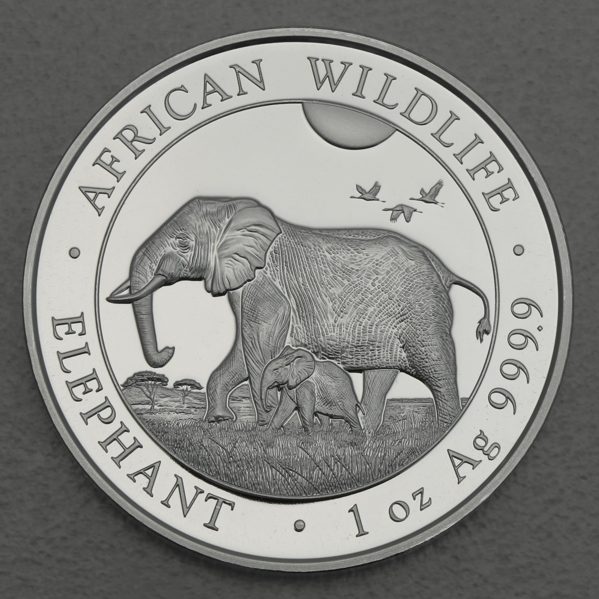 Silbermünze 1oz "Elefant" 2022 African Wildlife (Somalia) - Hauptansicht