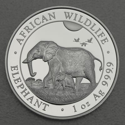 Silbermünze 1oz "Elefant" 2022 African Wildlife (Somalia) - Hauptansicht