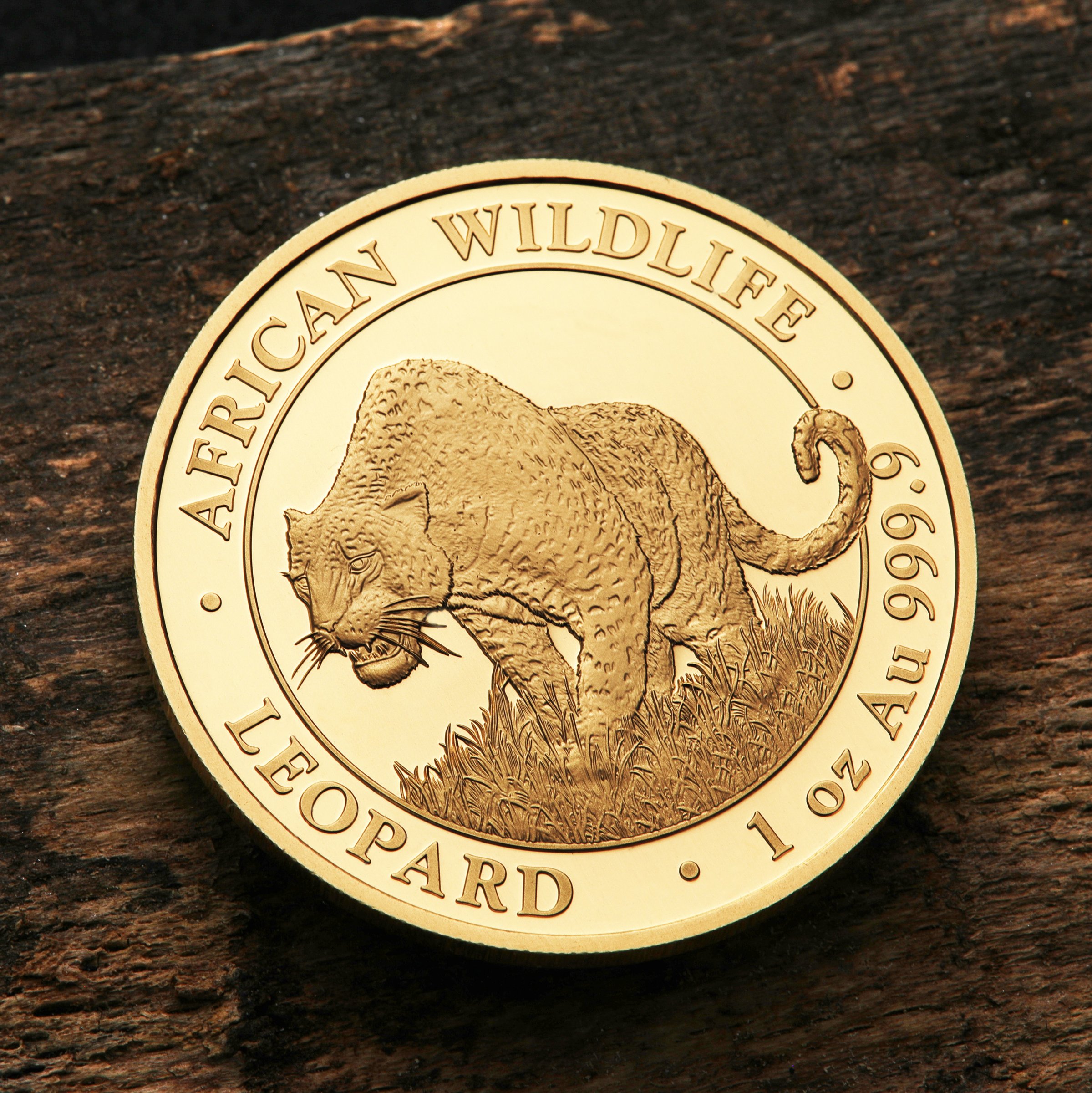 Goldmünze 1oz "Leopard" 2023 African Wildlife (Somalia) - Detailansicht 4