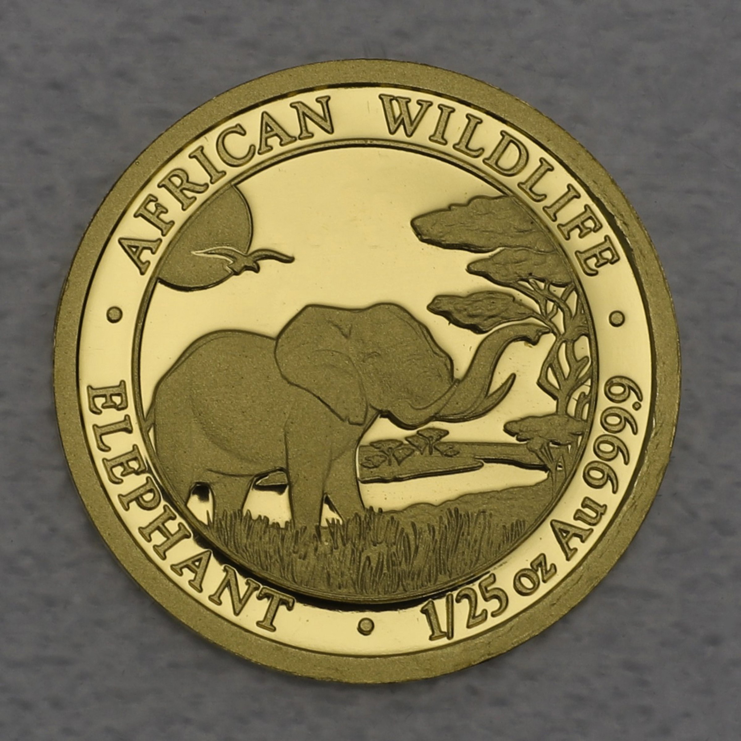 Goldmünze 1/25oz "Elefant" 2019 African Wildlife (Somalia) - Hauptansicht
