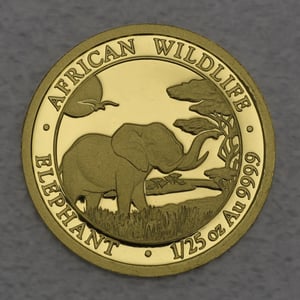 Goldmünze 1/25oz "Elefant" 2019 African Wildlife (Somalia) - Hauptansicht