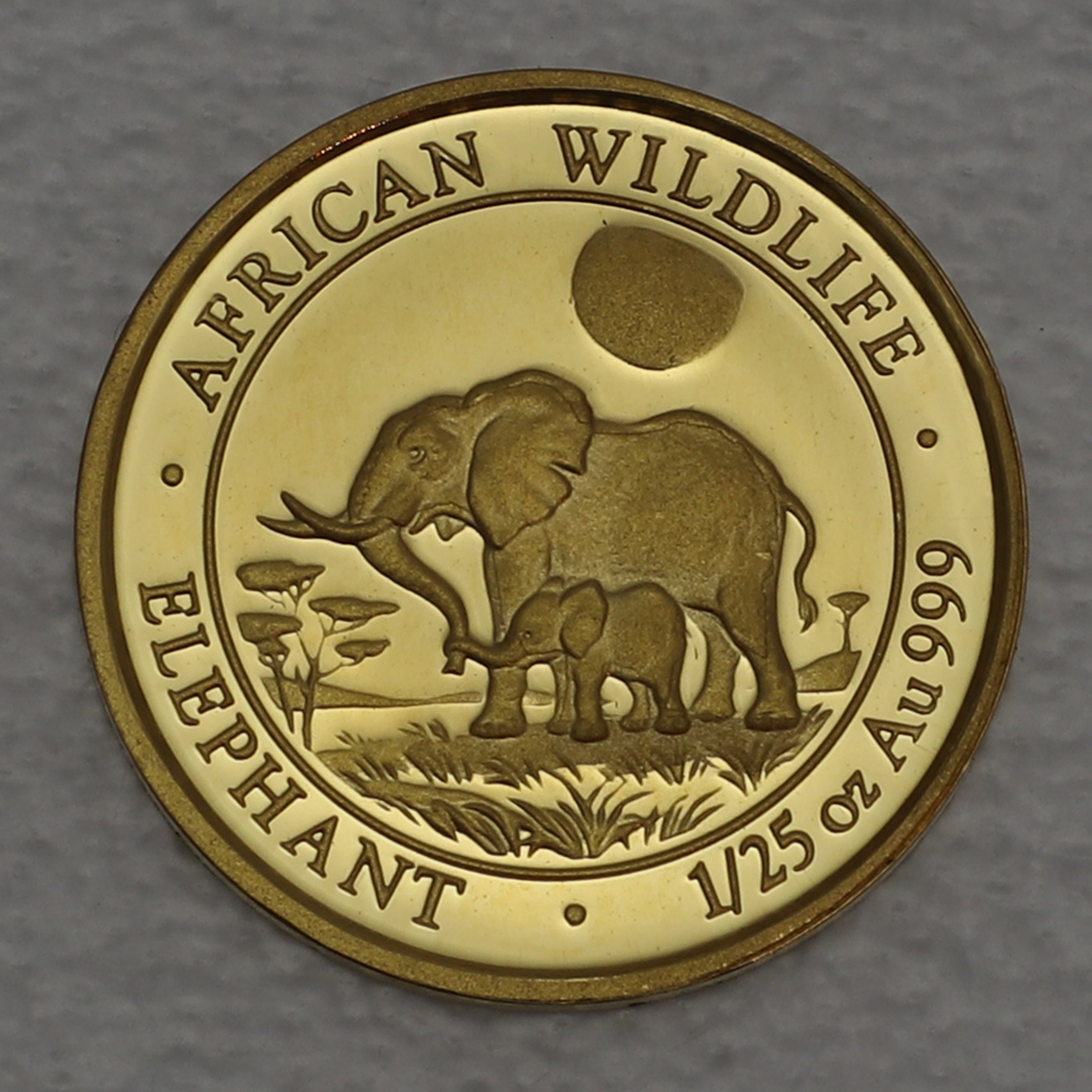 Goldmünze 1/25oz "Elefant" 2011 African Wildlife (Somalia) - Hauptansicht