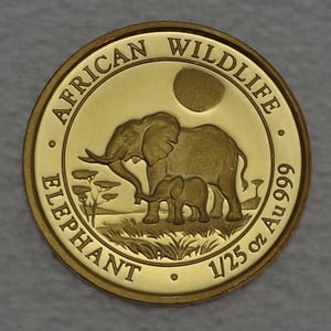 Goldmünze 1/25oz "Elefant" 2011 African Wildlife (Somalia) - Hauptansicht