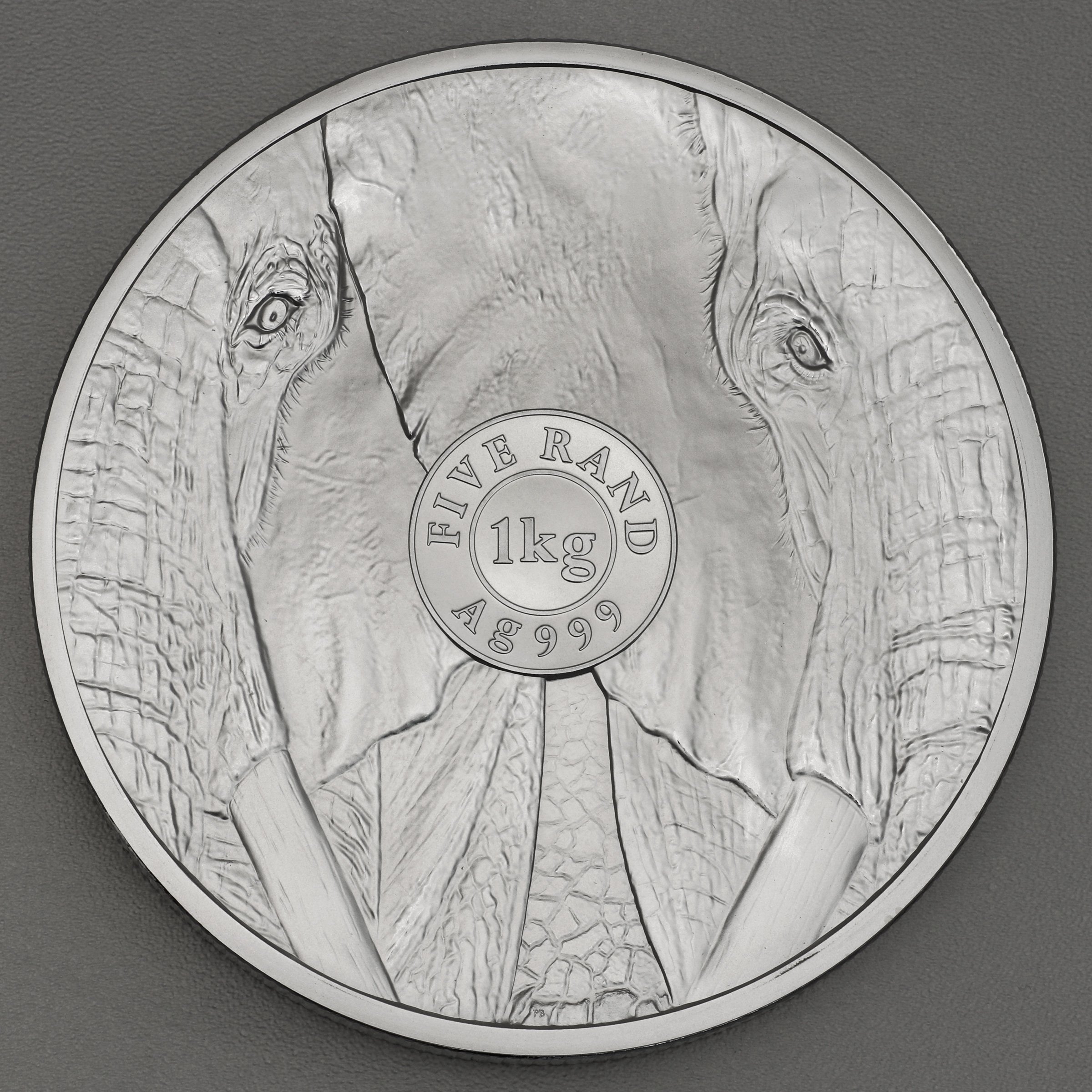 Silbermünze 1kg "Elefant" 2021 Big Five II (Südafrika) - Detailansicht 1