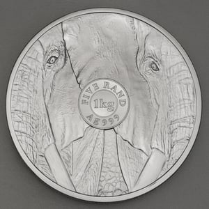 Silbermünze 1kg "Elefant" 2021 Big Five II (Südafrika) - Miniaturansicht 2
