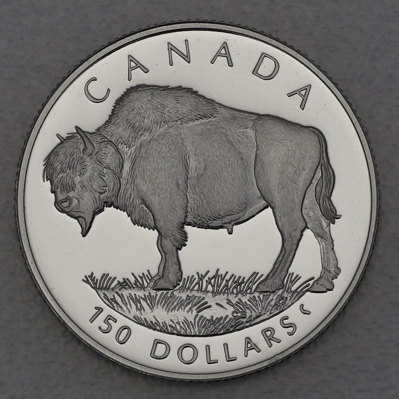 Platinmünze 1/2oz "Wood Bison" 1997 Wildlife Canada (Kanada) - Hauptansicht
