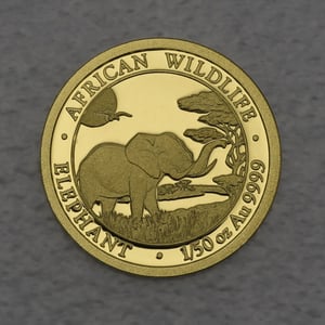 Goldmünze 1/50oz "Elefant" 2019 African Wildlife (Somalia) - Hauptansicht