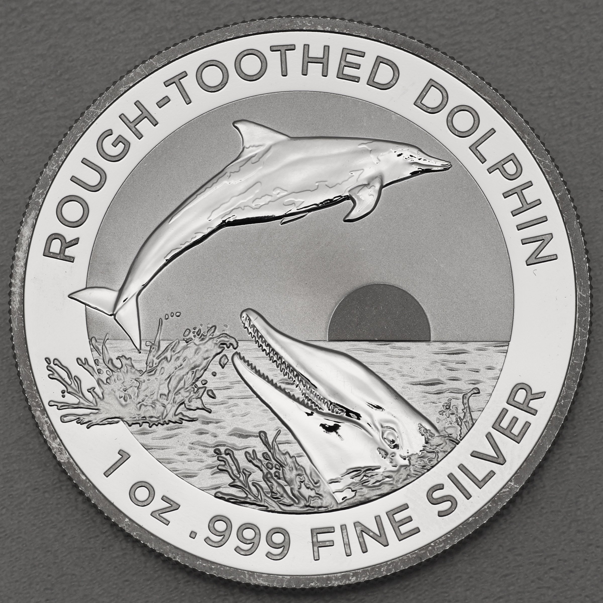 Silbermünze 1oz "Rough-Toothed Dolphin" 2023 (RAM) 19% (Australien) - Hauptansicht