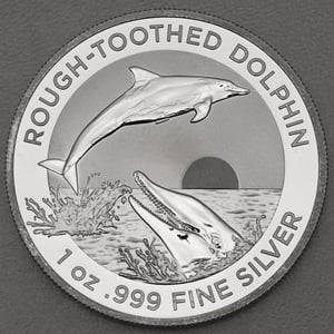 Silbermünze 1oz "Rough-Toothed Dolphin" 2023 (RAM) 19% (Australien) - Hauptansicht