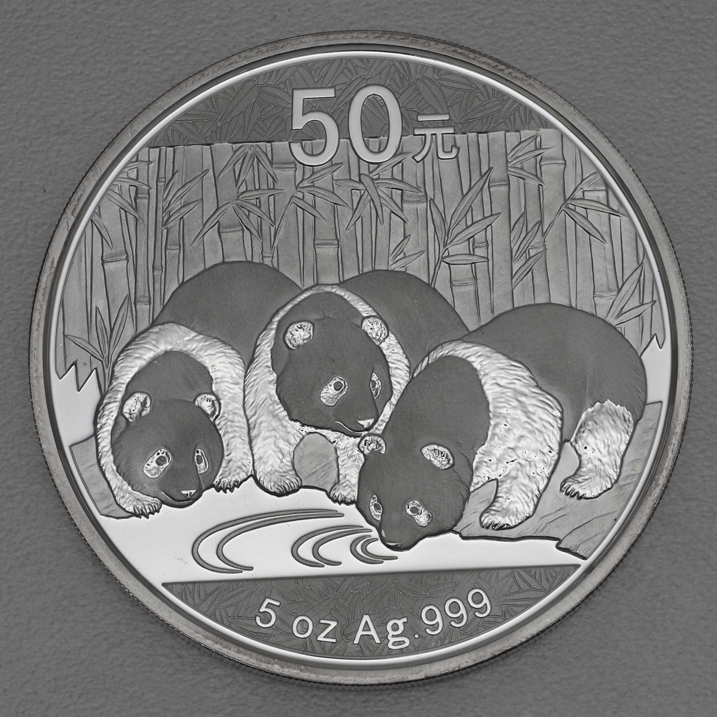 Silbermünze 5oz "Panda" 2013 (China) - Hauptansicht