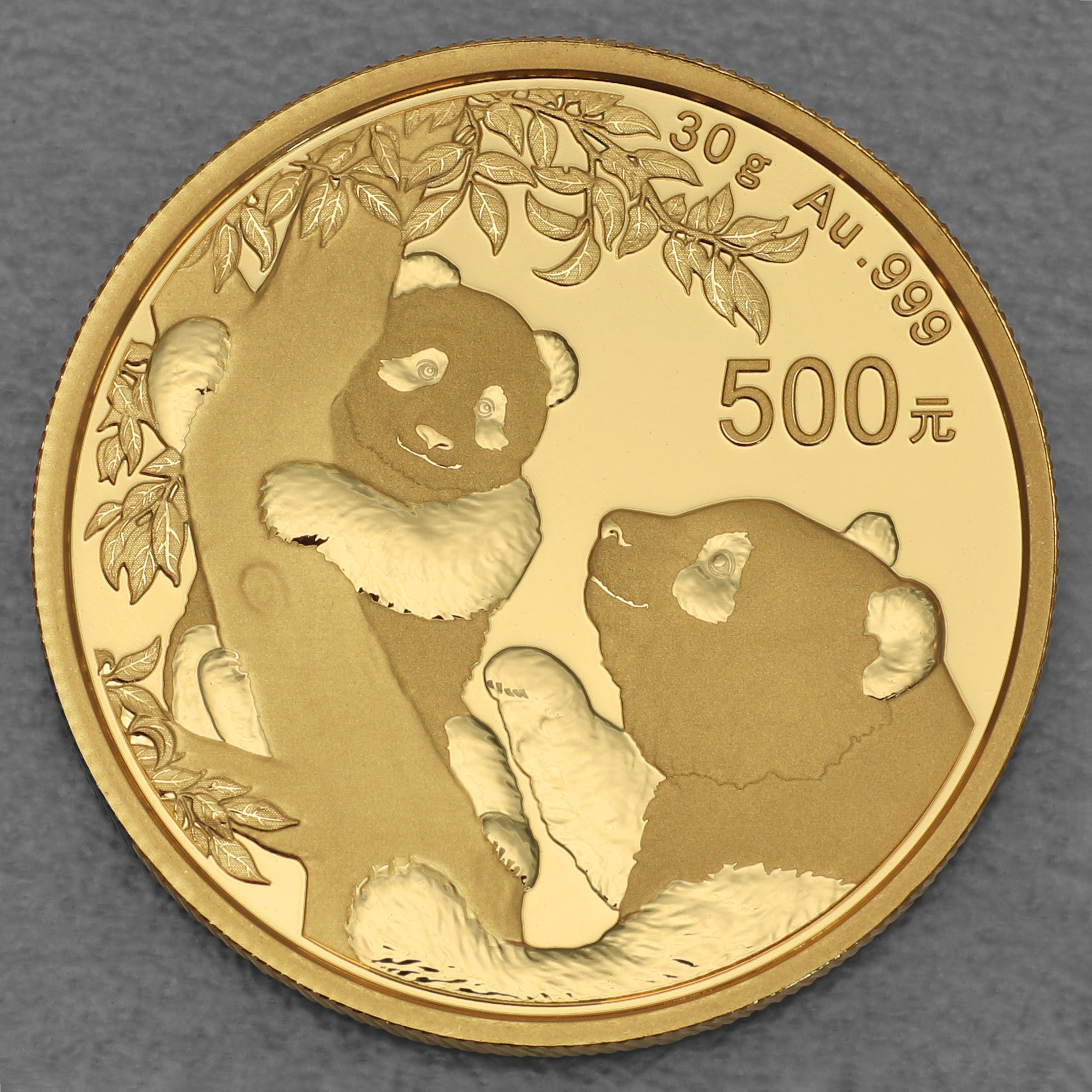 Goldmünze 30g "Panda" 2021 (China) - Hauptansicht
