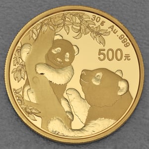 Goldmünze 30g "Panda" 2021 (China) - Hauptansicht