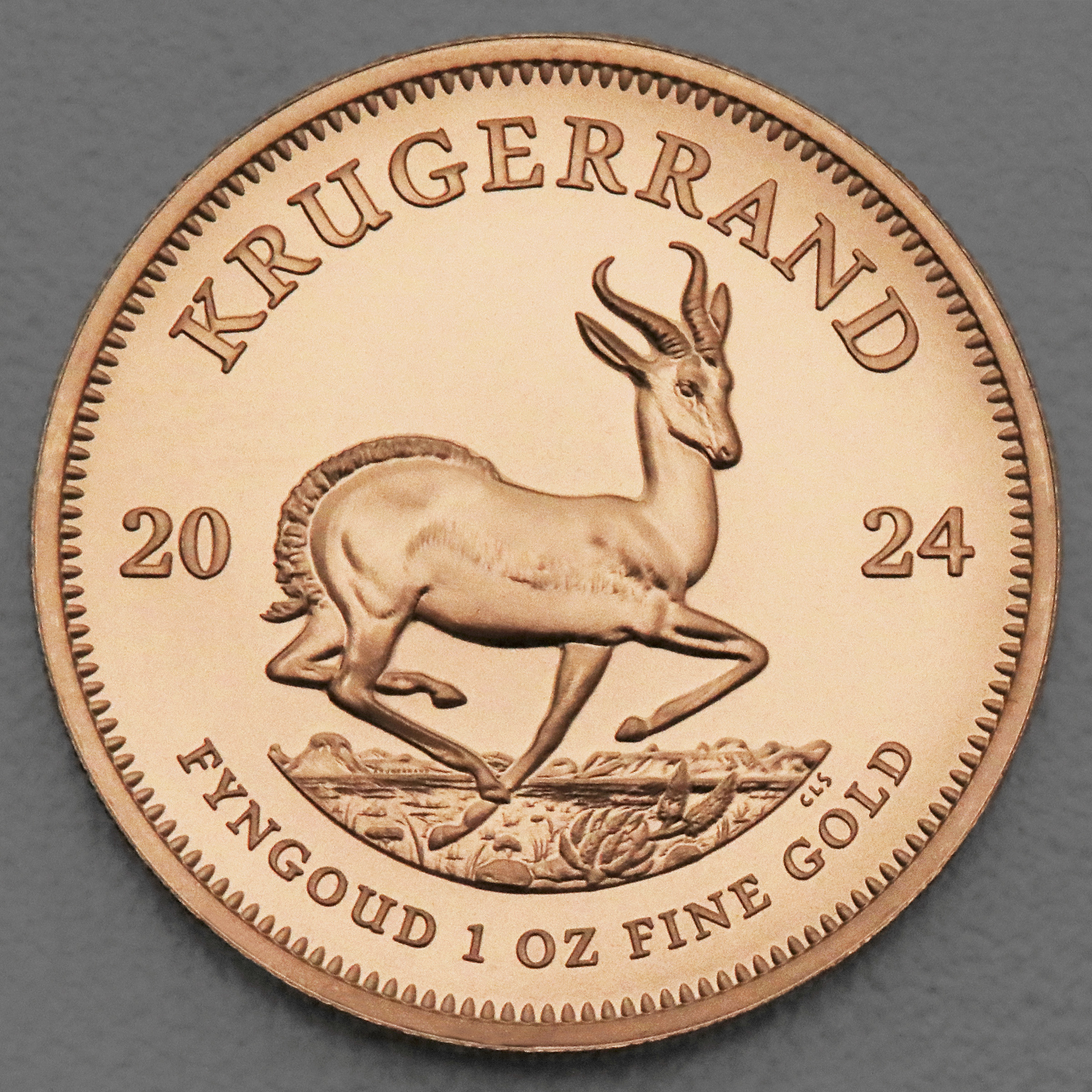 Goldmünze 1oz "Krügerrand" 2024 (Südafrika) - Hauptansicht