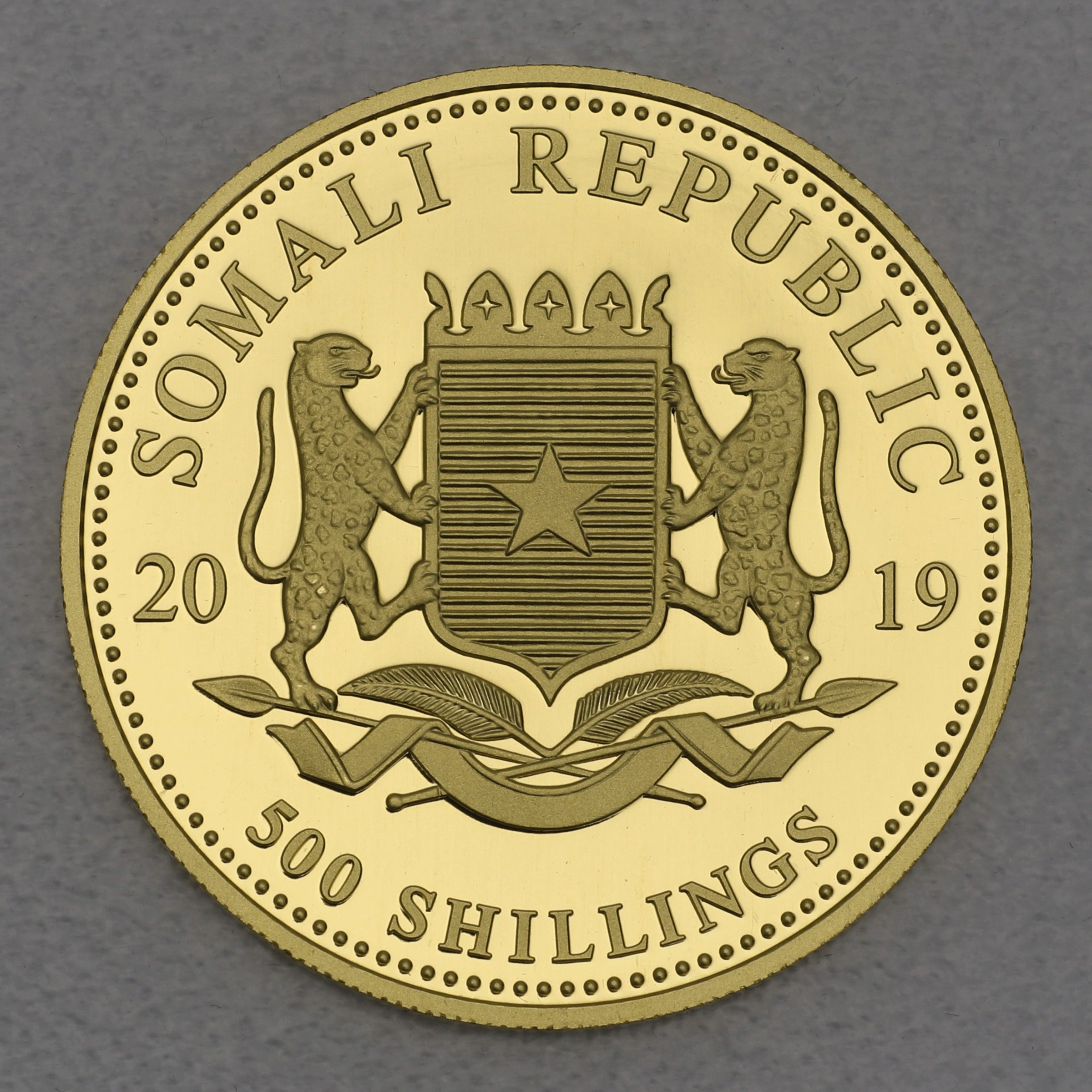 Goldmünze 1/2oz "Elefant" 2019 African Wildlife (Somalia) - Detailansicht 1