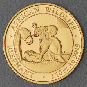Goldmünze 1/10oz "Elefant" 2024 African Wildlife (Somalia) - Hauptansicht