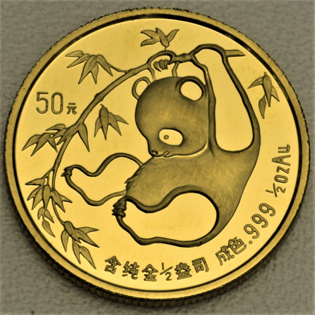 Goldmünze 1/2oz "Panda" 1985 (China) - Hauptansicht