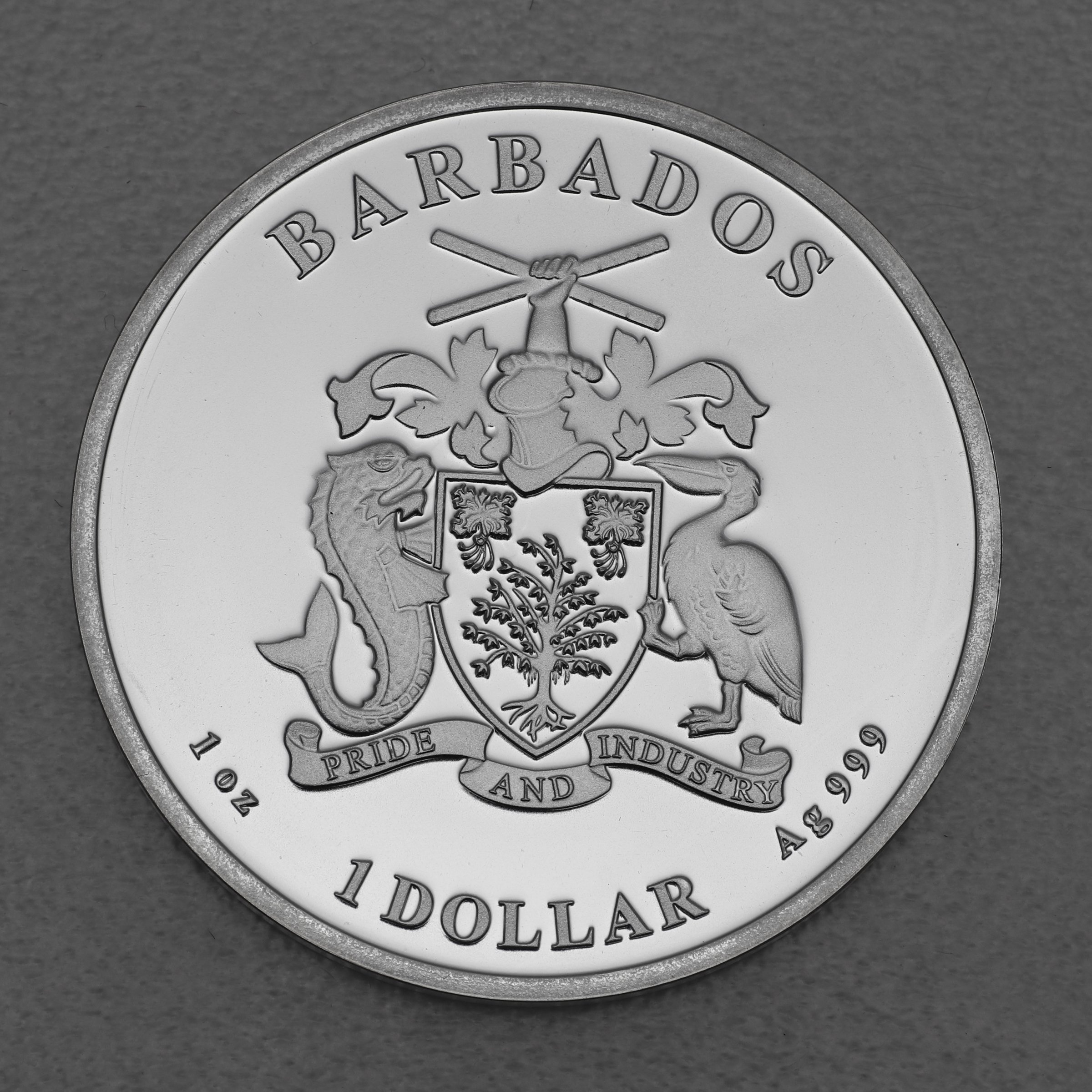 Silbermünze 1oz "Pelican" 2020 Caribbean Silver (Barbados) - Detailansicht 1