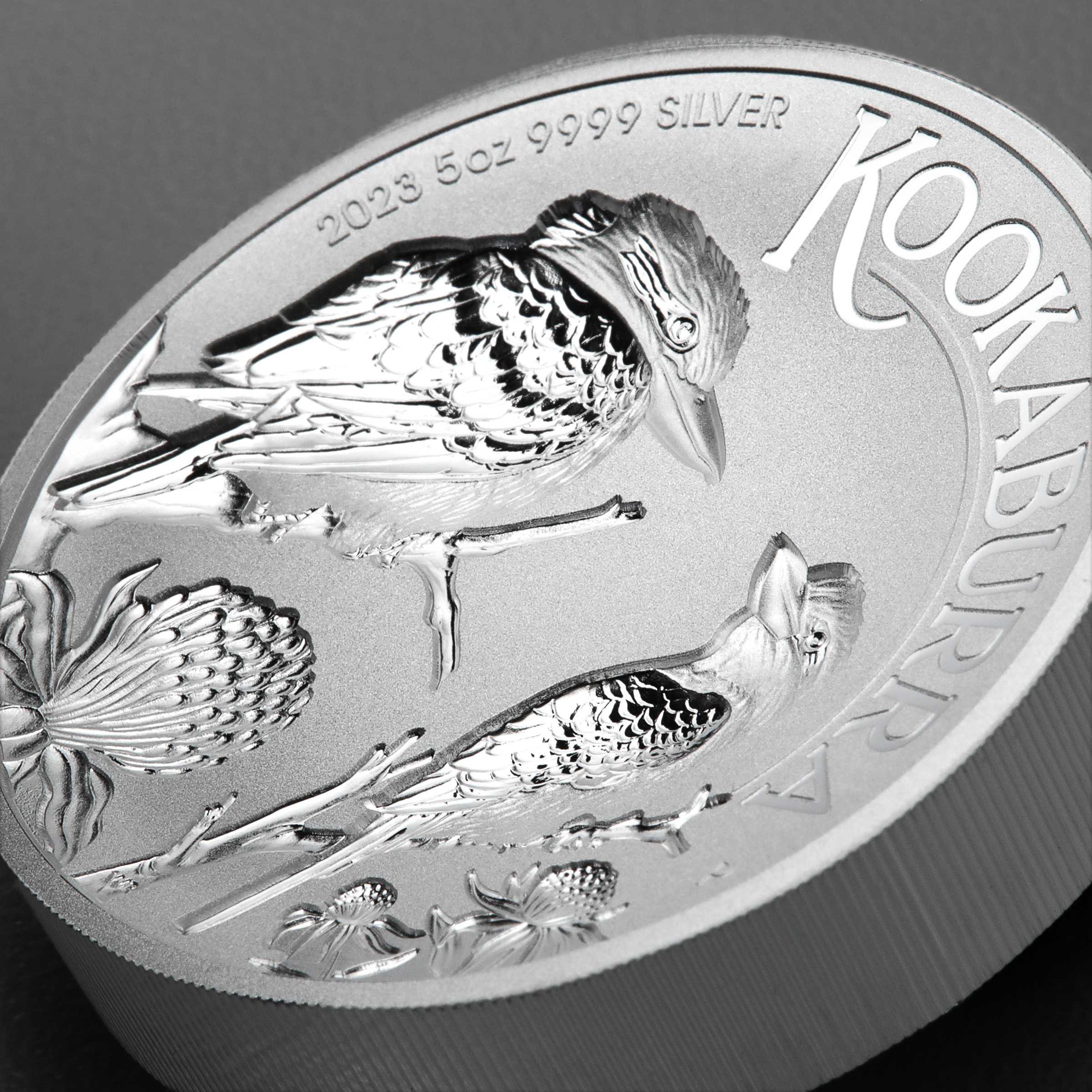 Silbermünze 5oz "Kookaburra" 2023 (Incused) (Australien) - Detailansicht 4