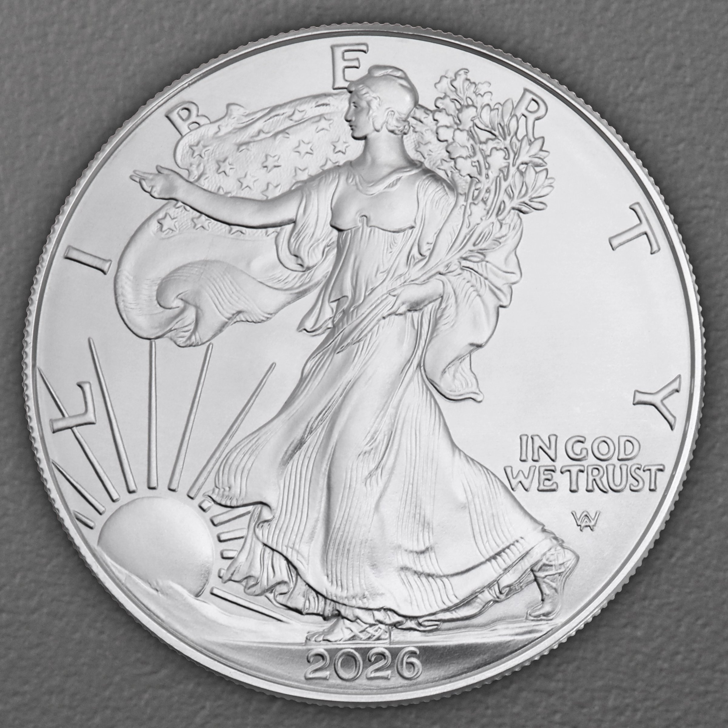 Silbermünze 1oz "American Eagle" aktueller Jahrgang (USA) 19% - Detailansicht 1