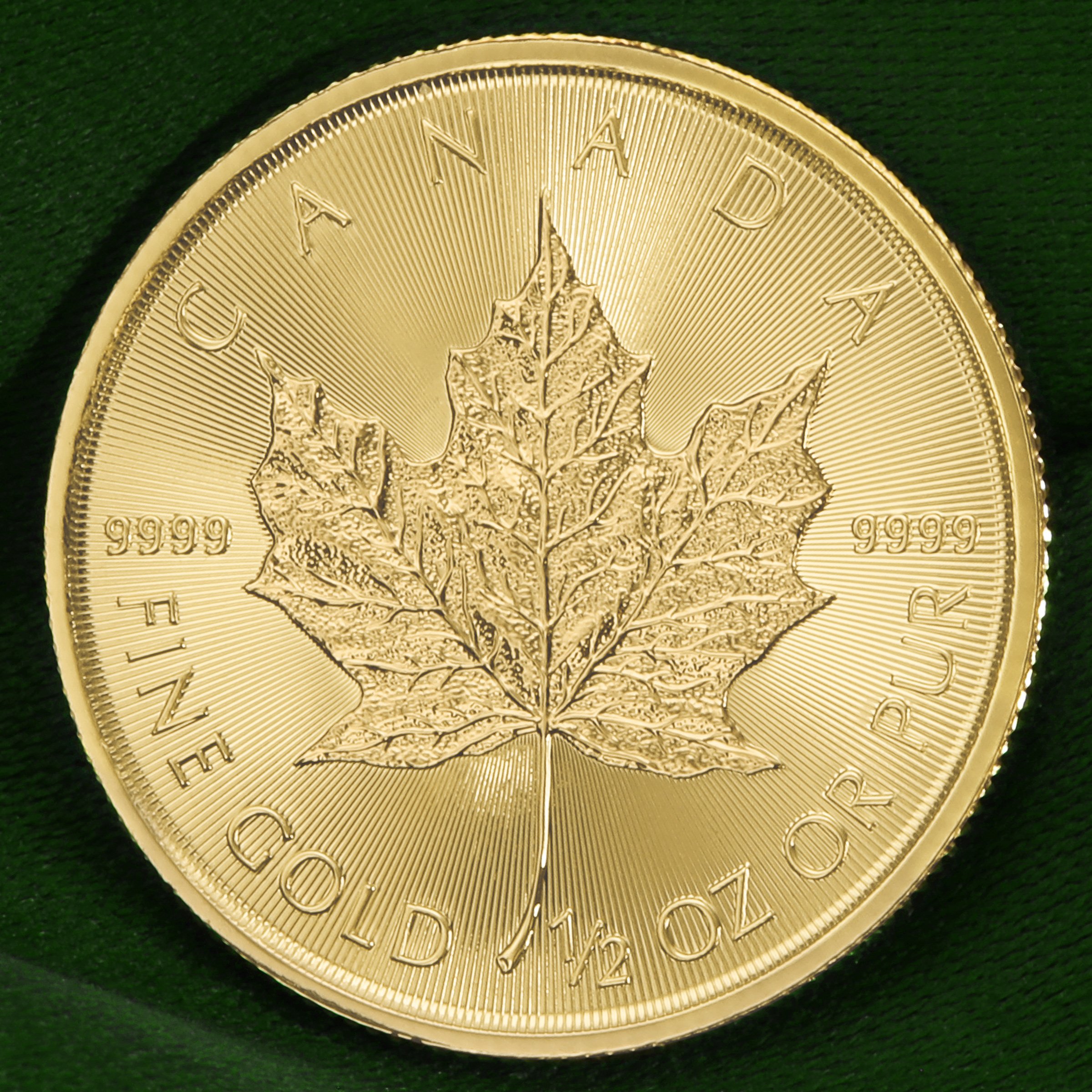 Goldmünze 1/2oz "Maple Leaf" aktueller Jahrgang (Kanada) - Detailansicht 4