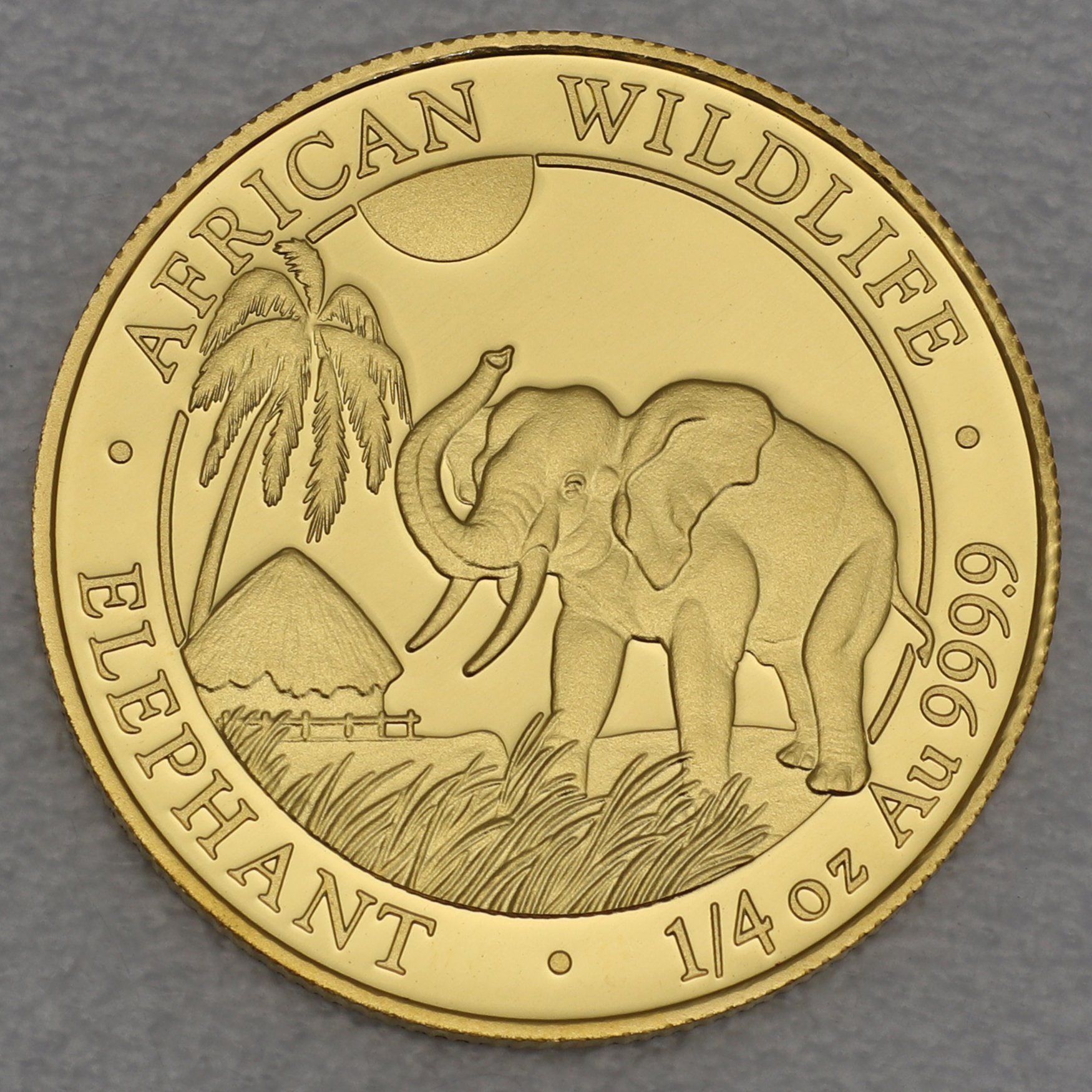 Goldmünze 1/4oz "Elefant" 2017 African Wildlife (Somalia) - Hauptansicht