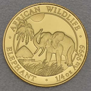 Goldmünze 1/4oz "Elefant" 2017 African Wildlife (Somalia) - Hauptansicht