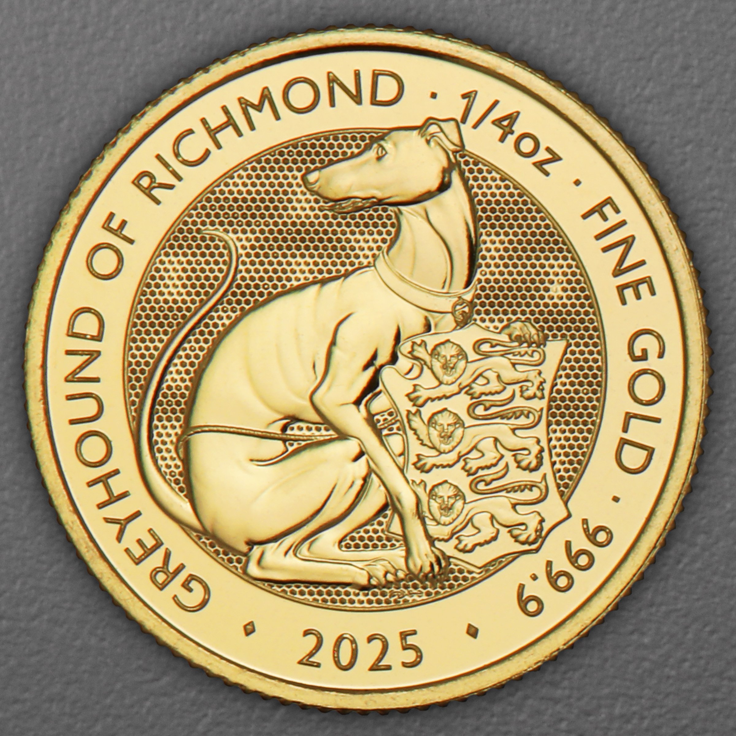 Goldmünze 1/4oz "Greyhound of Richmond" 2025 Royal Tudor Beasts (Großbritannien) - Hauptansicht