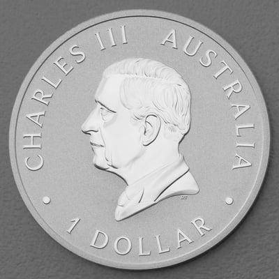 Silbermünze 1oz "Koala" 2024 diff. (Australien) - Miniaturansicht 2