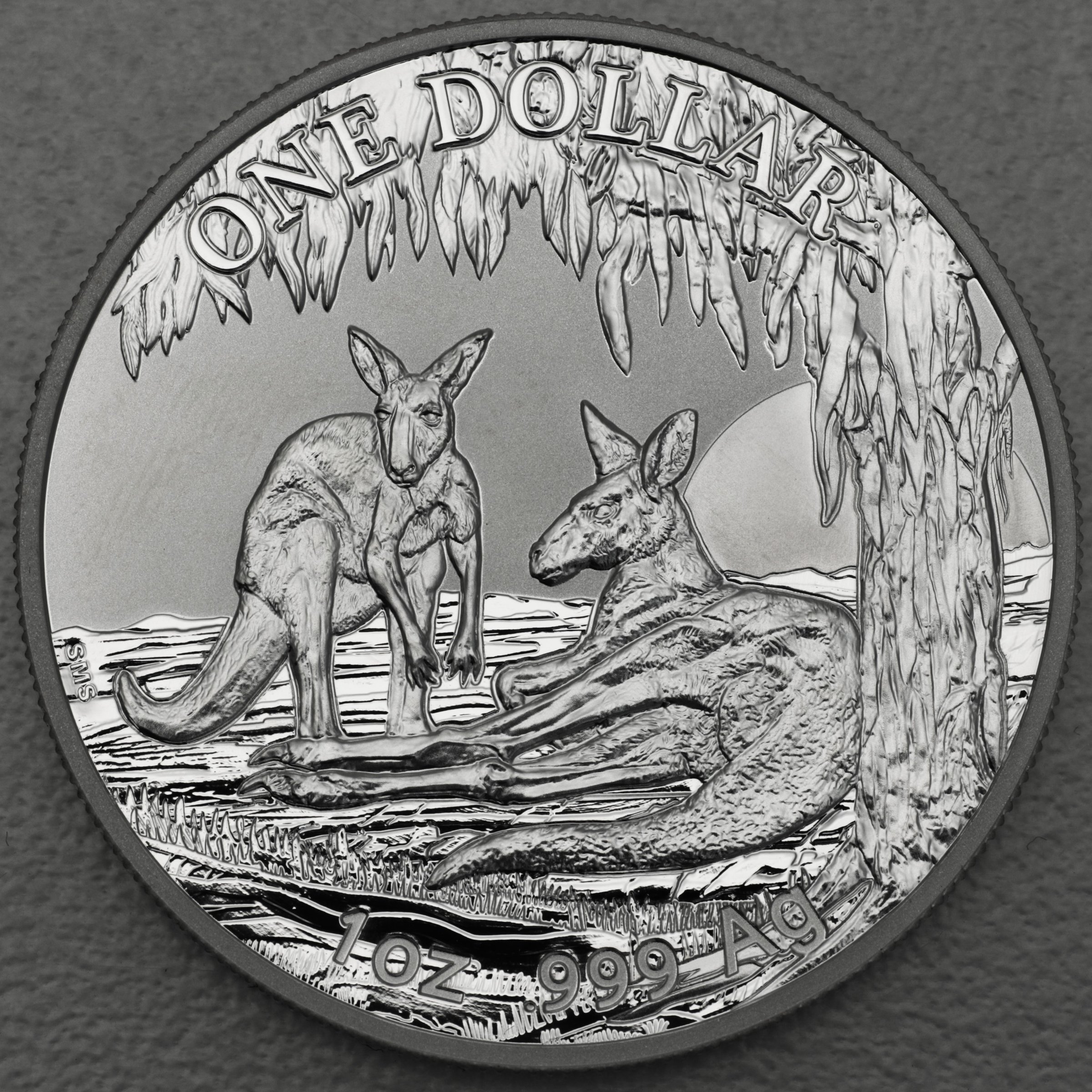 Silbermünze 1oz "Känguru" 2018 Seasons Change (Australien) - Hauptansicht
