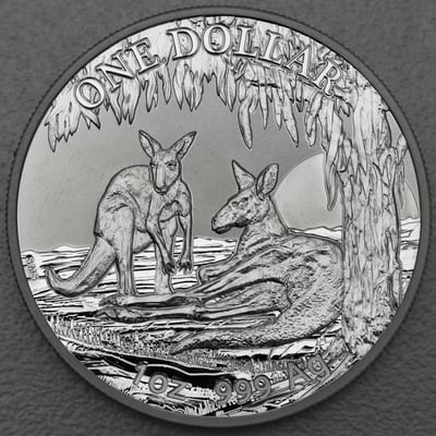 Silbermünze 1oz "Känguru" 2018 Seasons Change (Australien) - Miniaturansicht 1