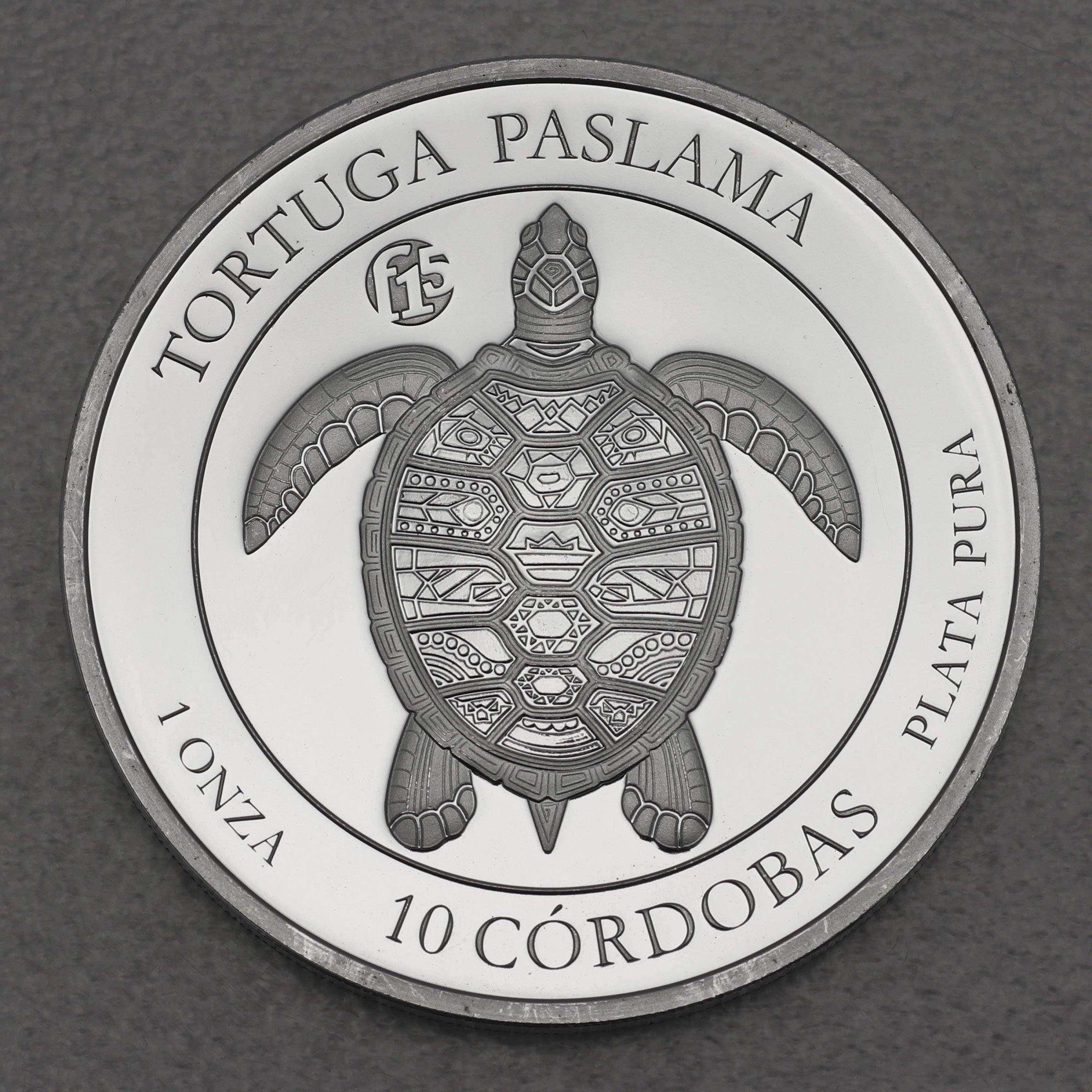 Silbermünze 1oz "Paslama Schildkröte" 2017 (Nicaragua) - Hauptansicht