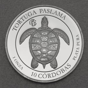 Silbermünze 1oz "Paslama Schildkröte" 2017 (Nicaragua) - Miniaturansicht 1