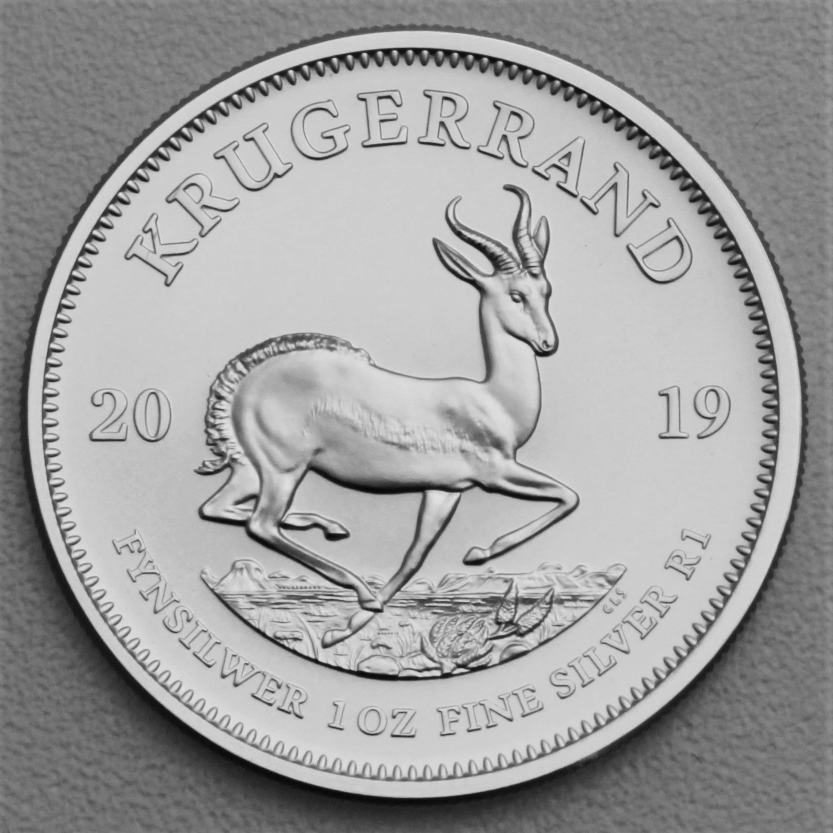 Silbermünze 25 x 1oz "Krügerrand" verschiedene Jahrgänge Tube diff. (Südafrika) - Detailansicht 1