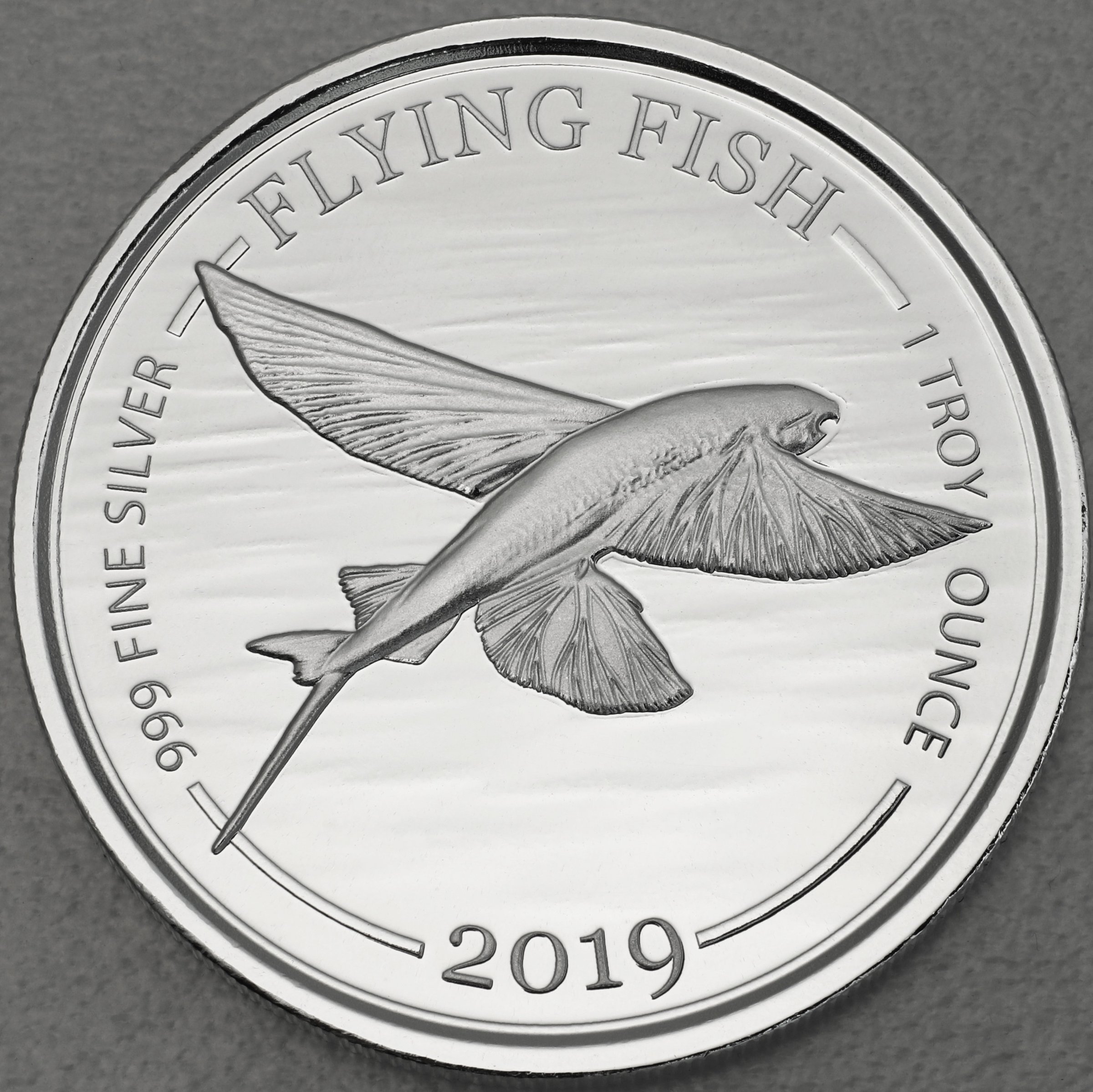 Silbermünze 1oz "Flying Fish" 2019 Barbados Fish (Barbados) - Hauptansicht