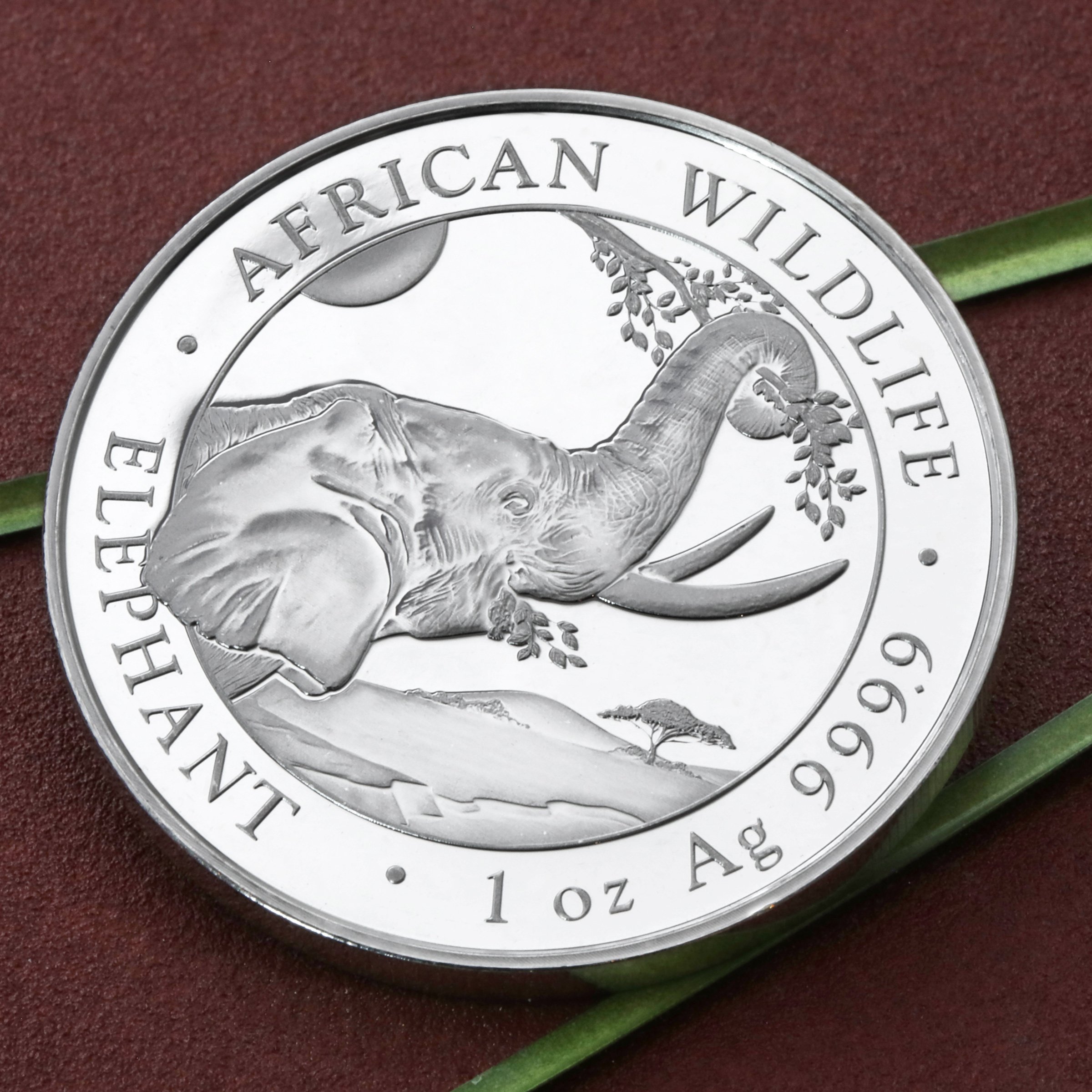 Silbermünze 1oz "Elefant" 2023 African Wildlife 19% (Somalia) - Detailansicht 4