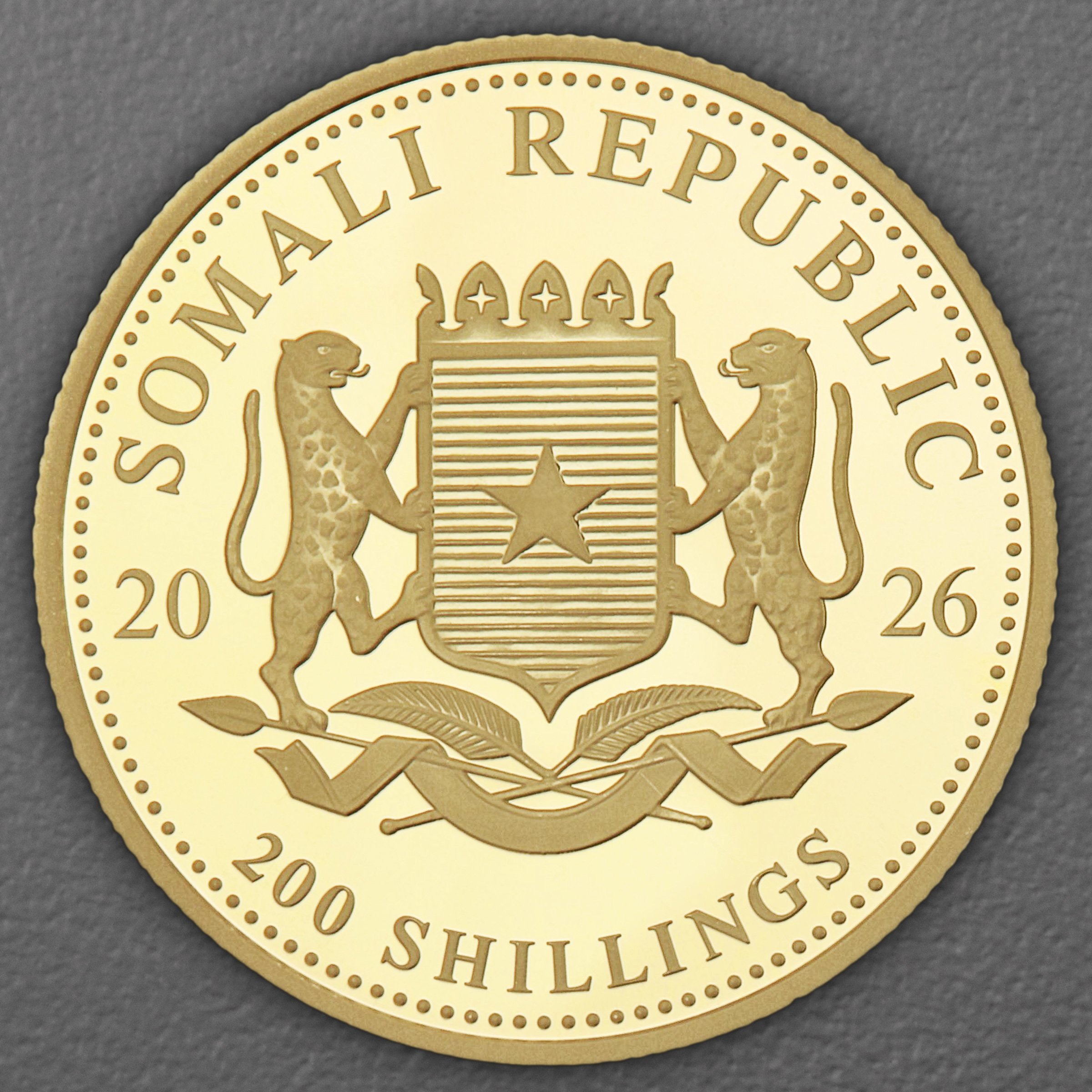 Goldmünze 1/4oz "Elefant" 2026 African Wildlife (Somalia) - Detailansicht 1