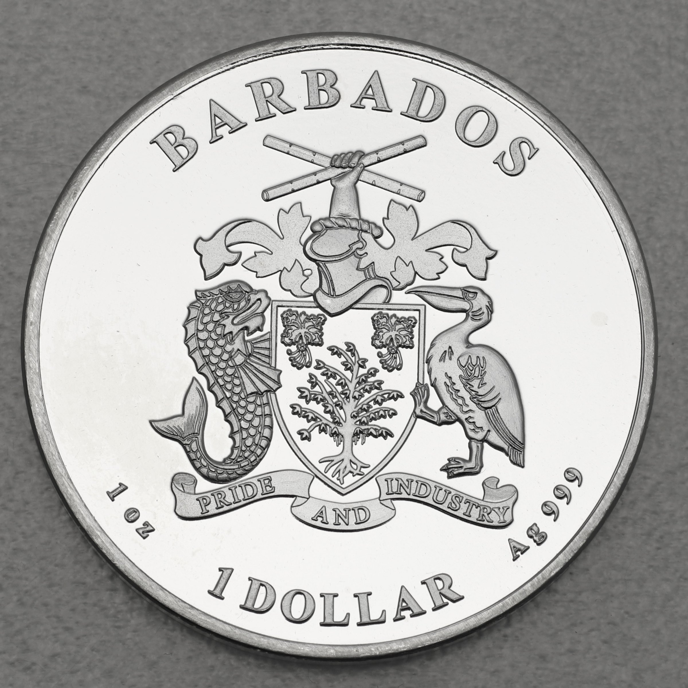 Silbermünze 1oz "Seepferdchen" 2021 (vergoldet) Caribbean Silver (Barbados) - Detailansicht 1