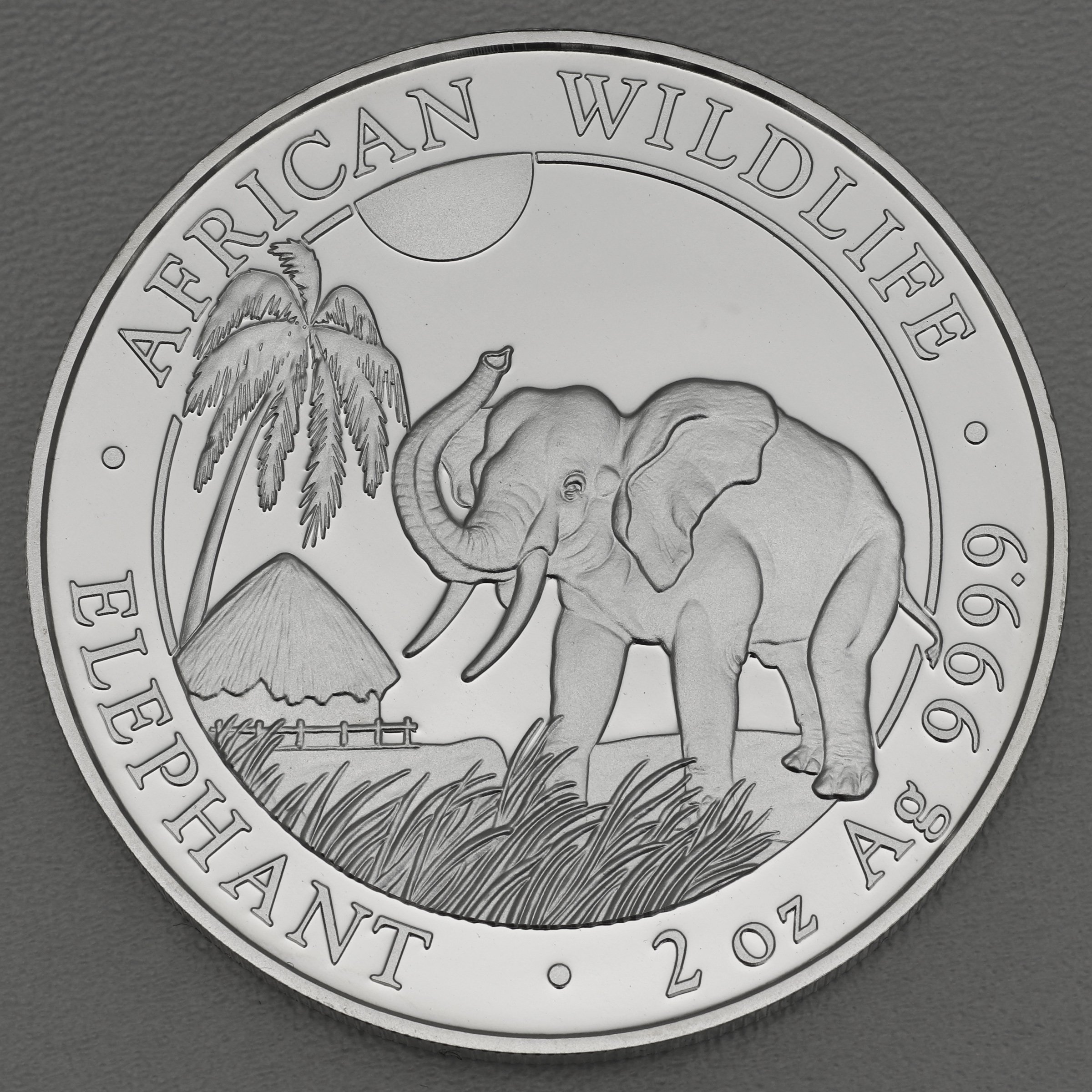 Silbermünze 2oz "Elefant" 2017 African Wildlife (Somalia) - Hauptansicht