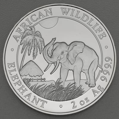 Silbermünze 2oz "Elefant" 2017 African Wildlife (Somalia) - Miniaturansicht 1